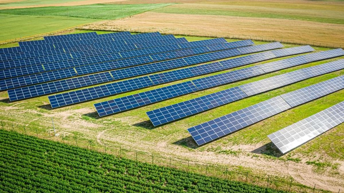 Új vezérigazgatói tanácsadóval bővül a MET Csoport