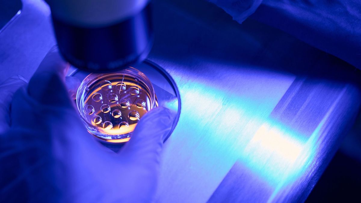 Erre még Balogh Levente is igent mondott: egy fejlesztés megváltoztathatja a világ vitaminfogyasztását