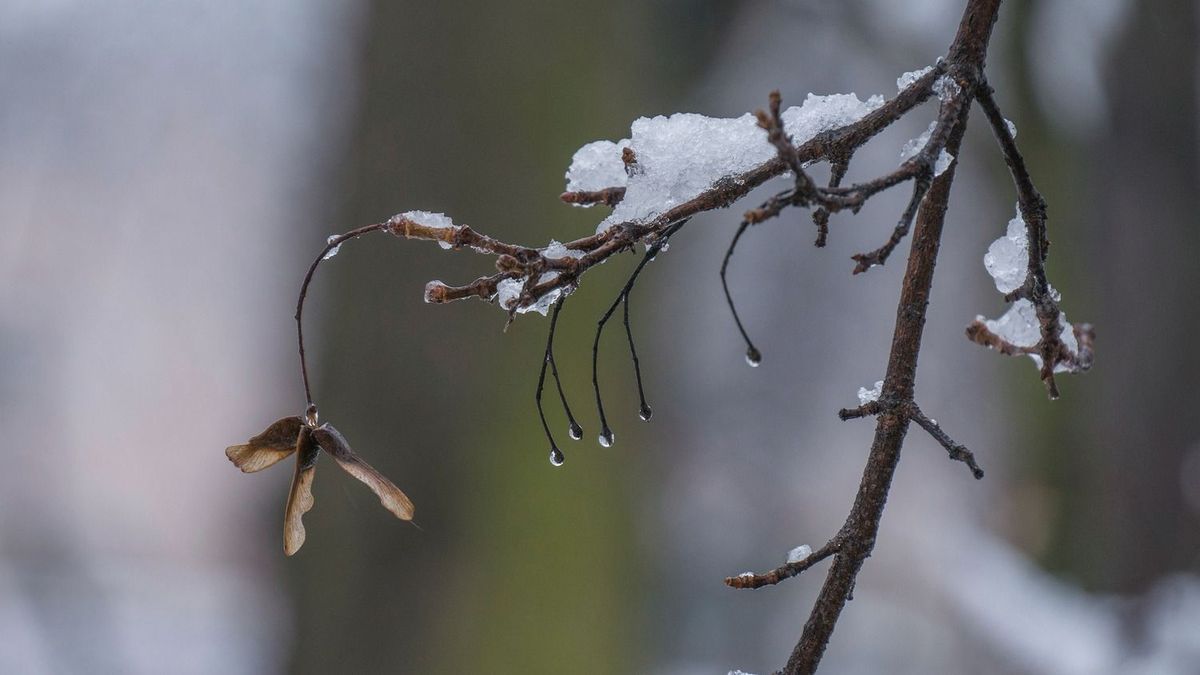 Kiderült, hol és körülbelül mennyi hó hullhat hazánkban