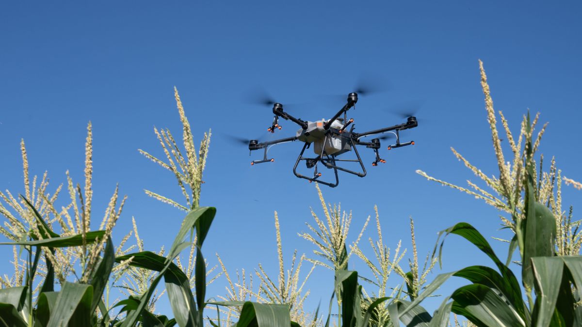 Drónokkal váltják le a traktorokat a gazdálkodók