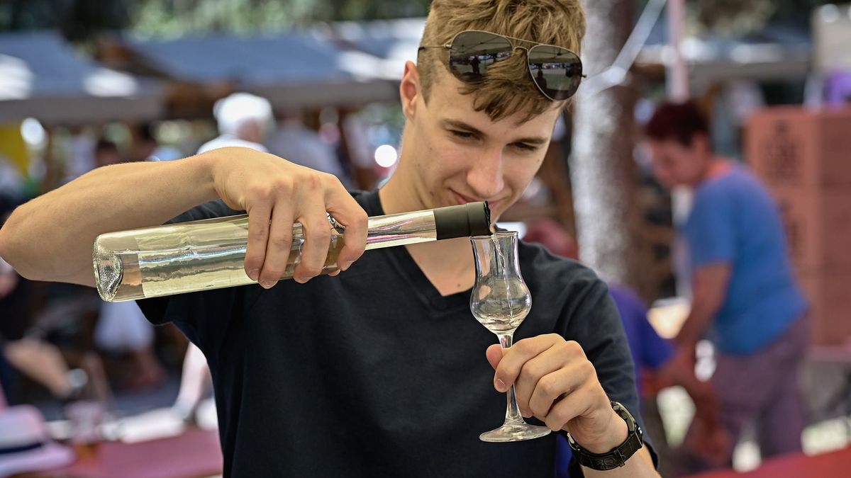 Százezreket bukhatnak a pálinkafőzdék januártól