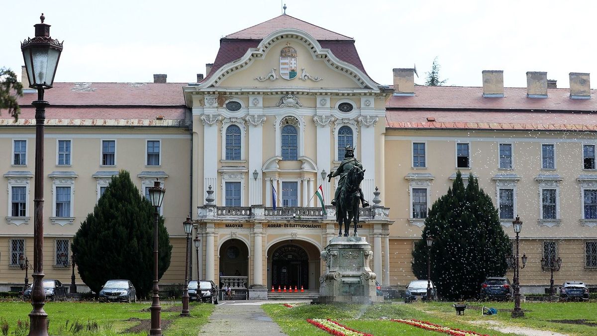 Mostantól félpénzért fűtenek Gödöllőn