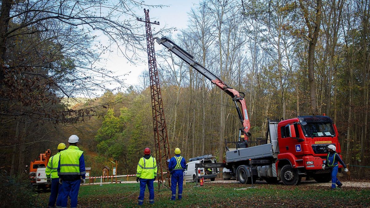 Begyógyíthatja sebeit az erdő: sorra tünteti el az E.ON a légkábeleket és azok tartóoszlopait