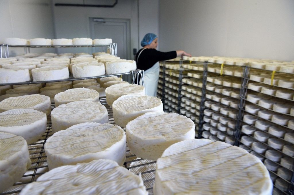 France orne pays d auge village camembert heronniere farm aoc unpasteurized milk farm madeFrance, Orne, Pays d'Auge, village of Camembert, the Héronnière Farm, AOC unpasteurized milk farm-made Camembert, ripening and refinement of the cheese (Photo by RIEGER Bertrand / hemis.fr / hemis.fr / Hemis via AFP)