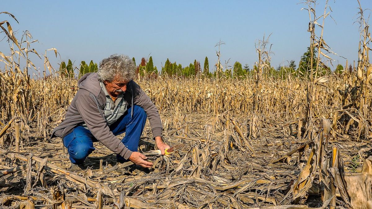 Beleáll az agrárkamara a mezőgazdászok és a vadászok vitájába