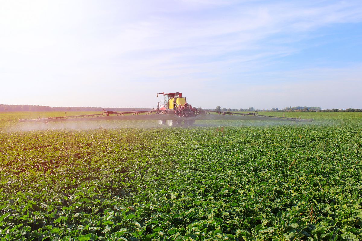 Tractor,Spraying,Plant,Protection,Products,On,A,Green,Sugar,Beet