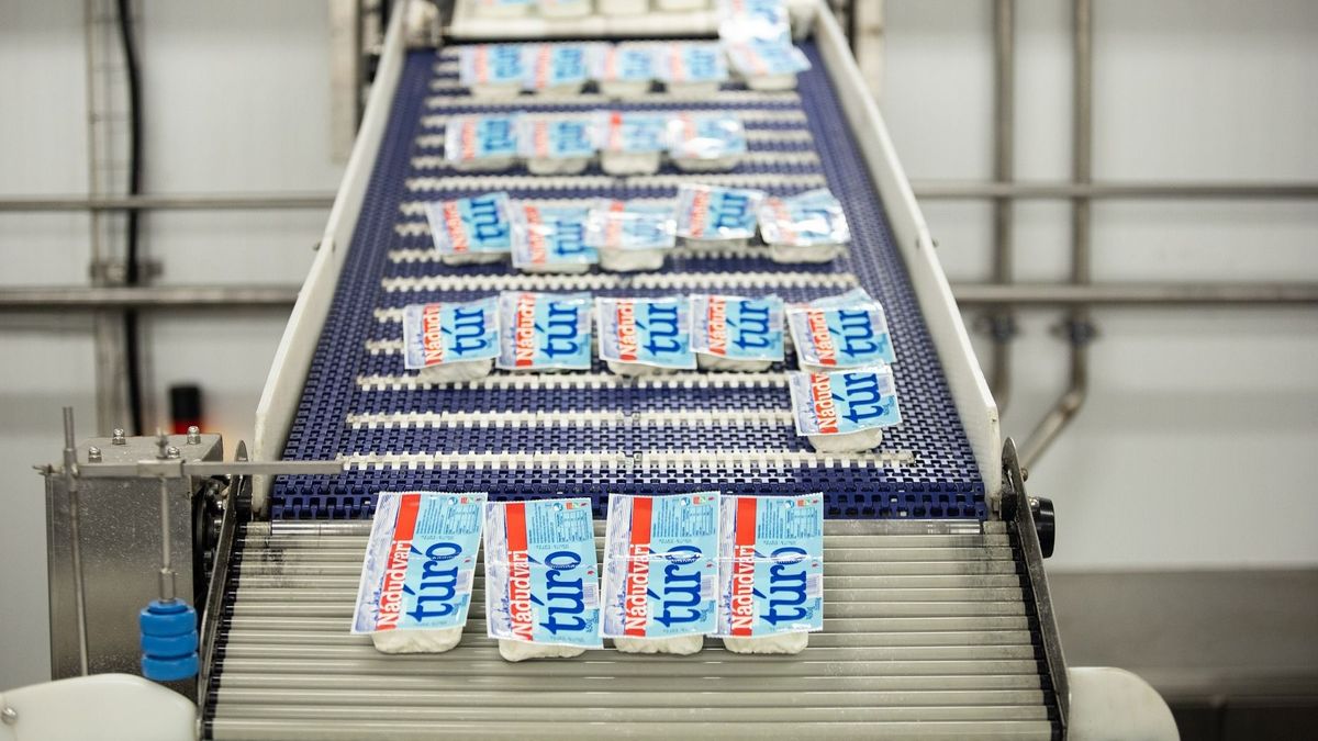 Joghurtból lett facsemeték és zöldfejlesztések az árbevételi rekordot döntő Nádudvarinál