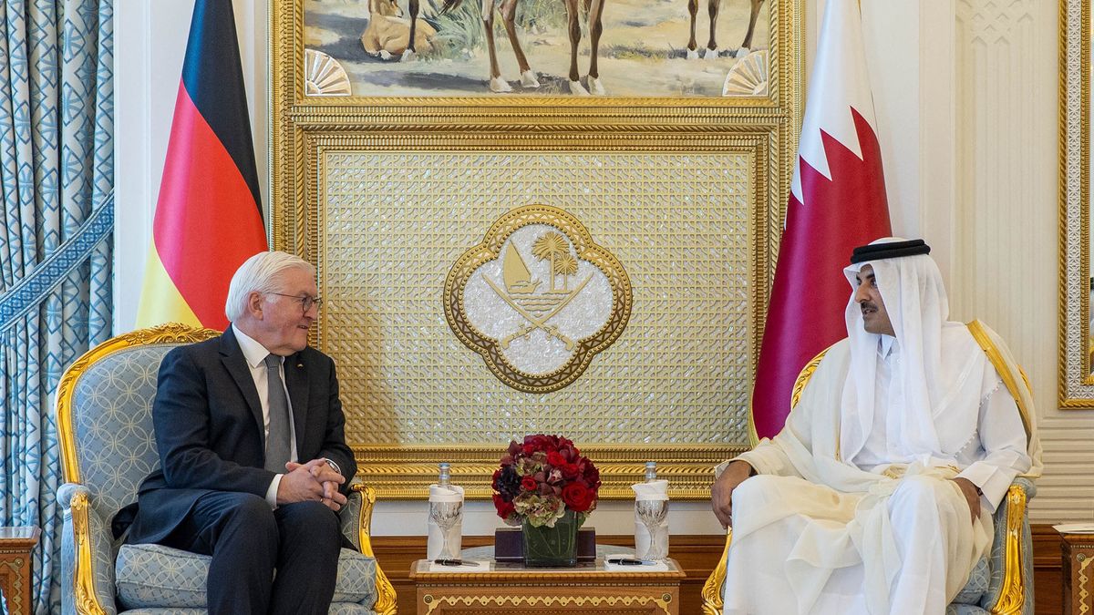 German President Frank-Walter Steinmeier in Qatar