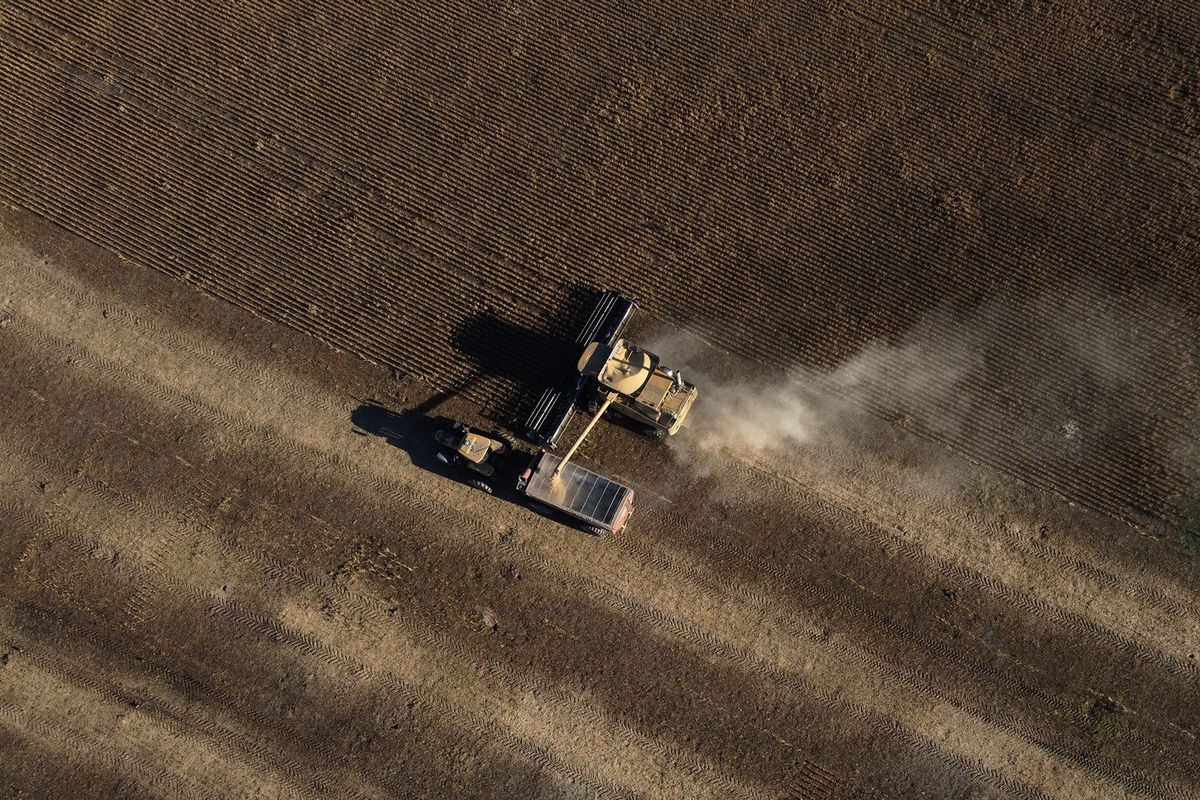 Aerial view of a combine harvester harvesting a soy field in Lobos, some 100 km west of Buenos Aires, on April 29, 2022. Argentina's good soybean and grain harvest this year is a breath of optimism in the face of the global grain shortage brought on by the war in Ukraine. (Photo by Juan MABROMATA / AFP), 
szója, Argentína, argentin, 