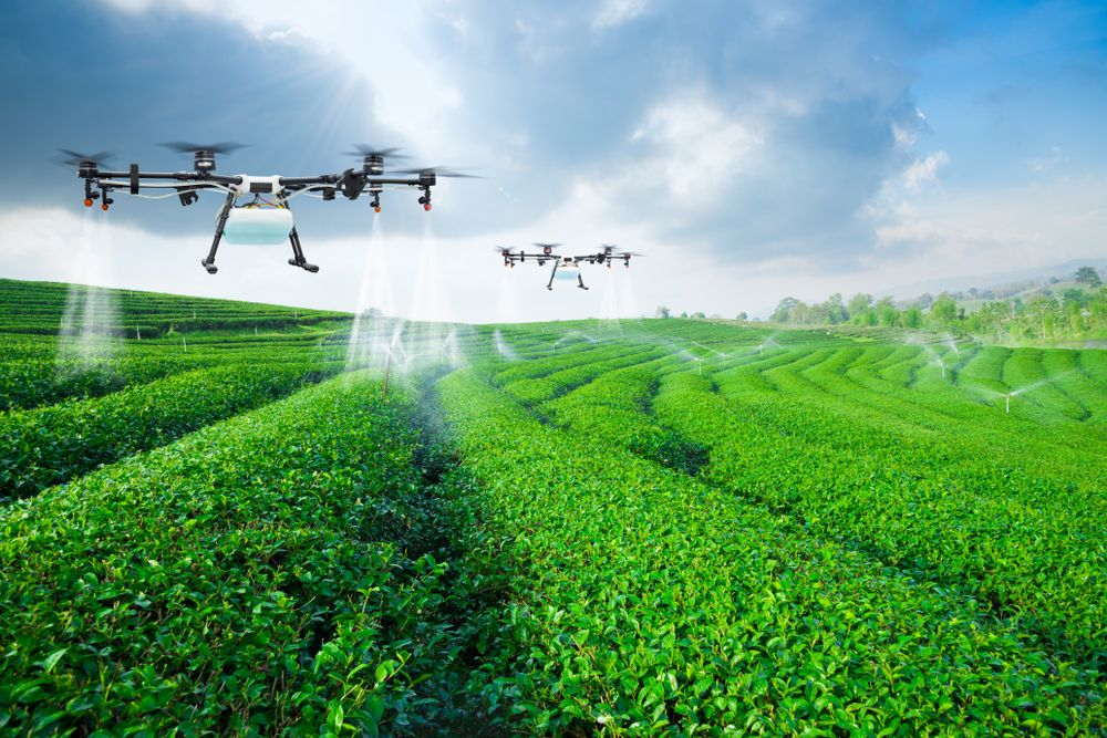 Agriculture,Drone,Fly,To,Sprayed,Fertilizer,On,The,Green,Tea