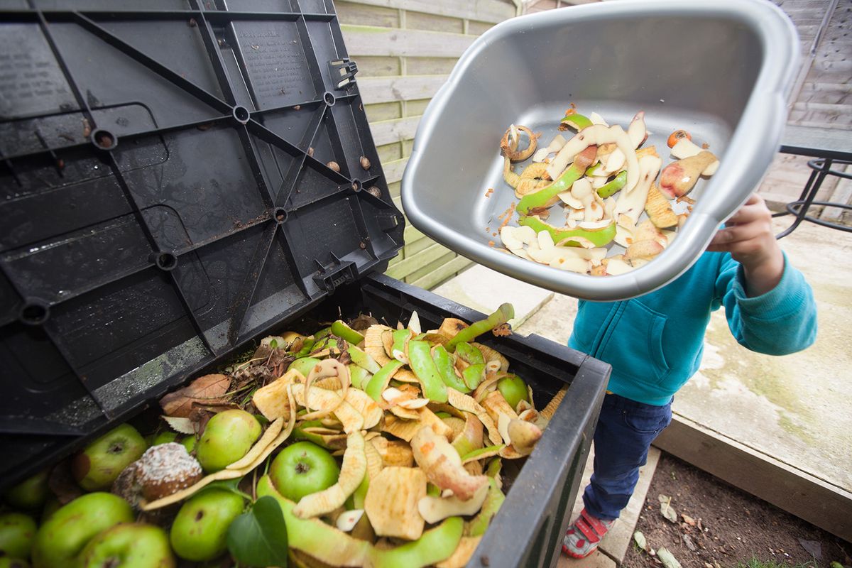 A young boy tips a bowl of apple peels into a compost bin
