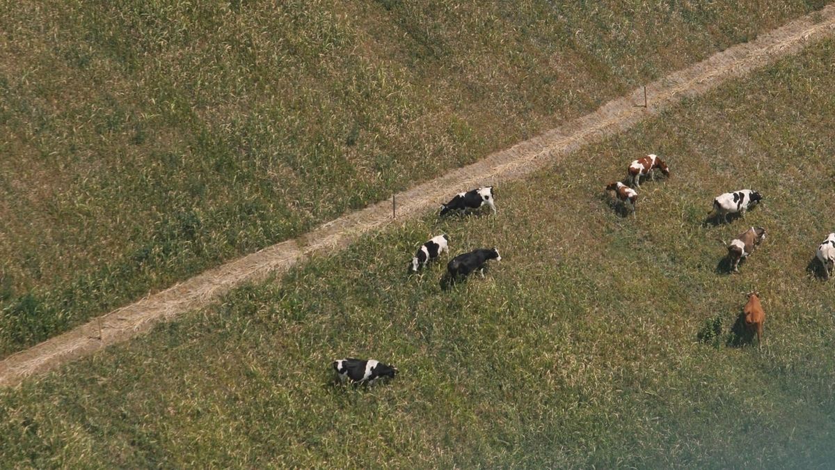 Támogatási előleget kapnak a környezetkímélő gazdálkodásban résztvevő agrártermelők