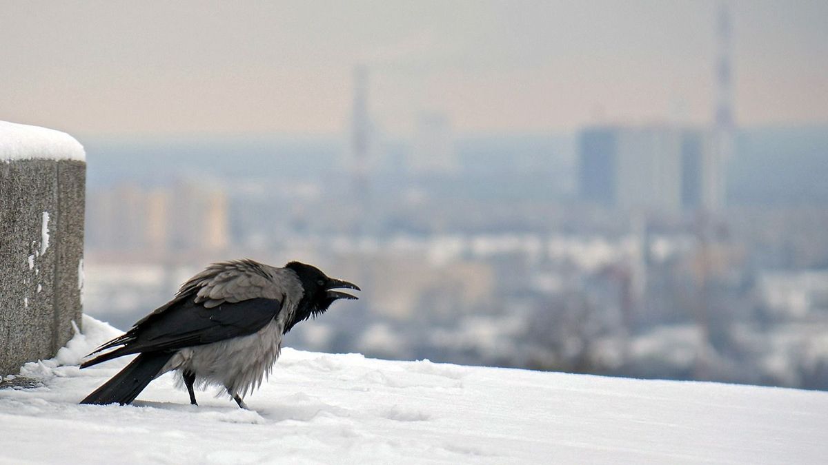 Megérkezett a tél: havasesőt hozott a hidegfront