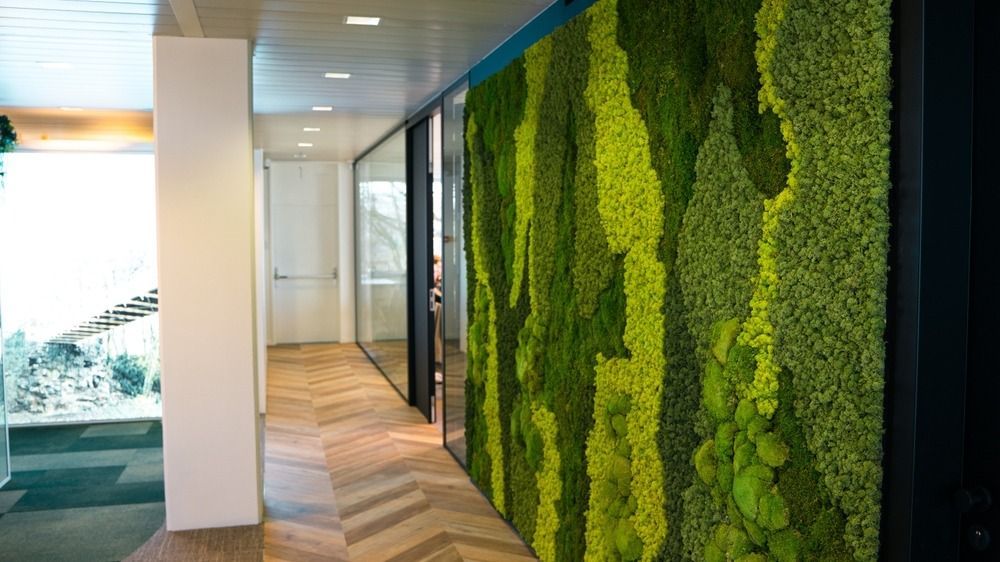 Green,Moss,Wall,Panel,In,Office,For,Greenoffice