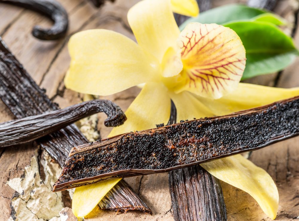 Dried,Vanilla,Stick,And,Vanilla,Orchid,On,Wooden,Table.,Close-up.