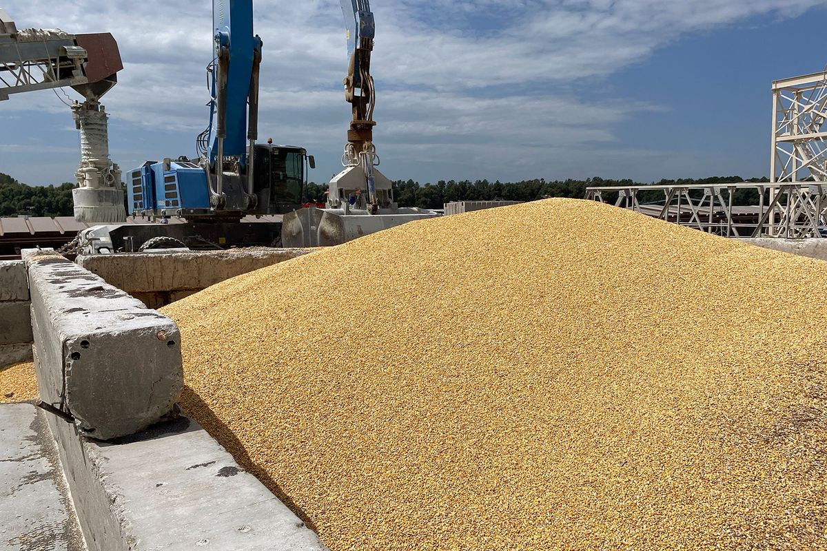 A pile of maize grains is seen on the pier at the Izmail Sea Port, Odesa region, on July 22, 2023. Russia said on July 21, 2023 that it understood the concerns African nations may have after Moscow left the Ukrainian grain deal, promising to ensure deliveries to countries in need. (Photo by STRINGER / AFP)