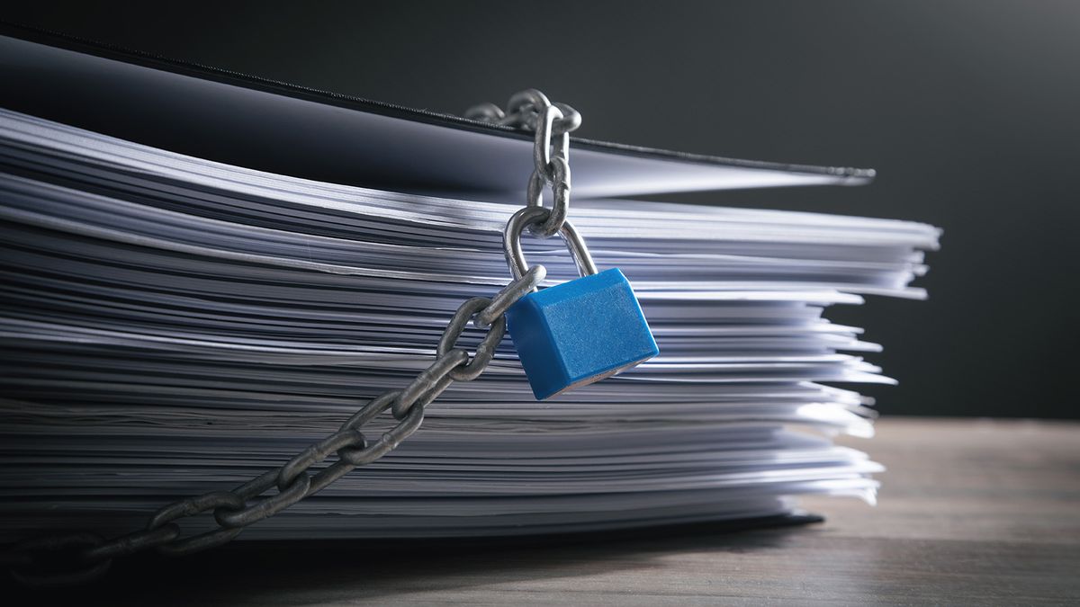 Cikksorozat tárja fel a Political Capital munkásságát