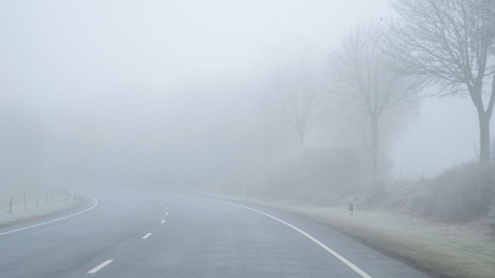 Landscape,Heavy,Foggy,Road,In,Winter,Season,With,Black,Tree,