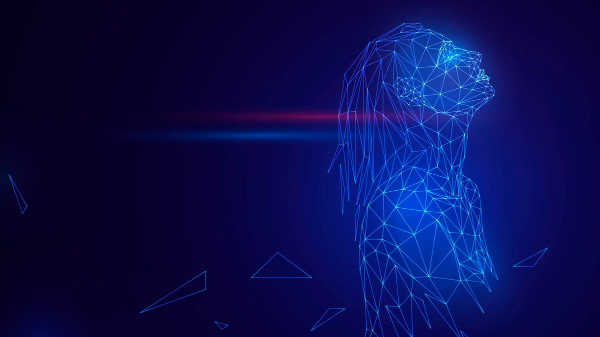 Felnőtt tartalom: Amit csak akarsz - mondja a virtuális szexmunkás