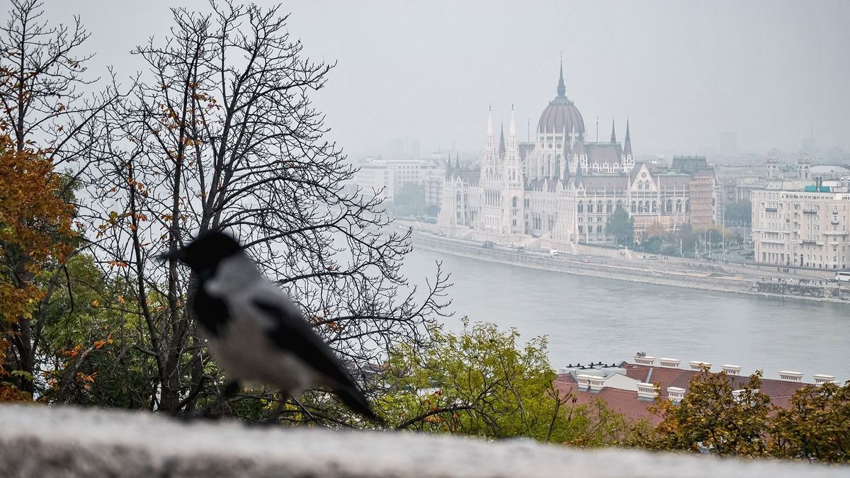 Szélvihar söpör végig az országon szenteste napján