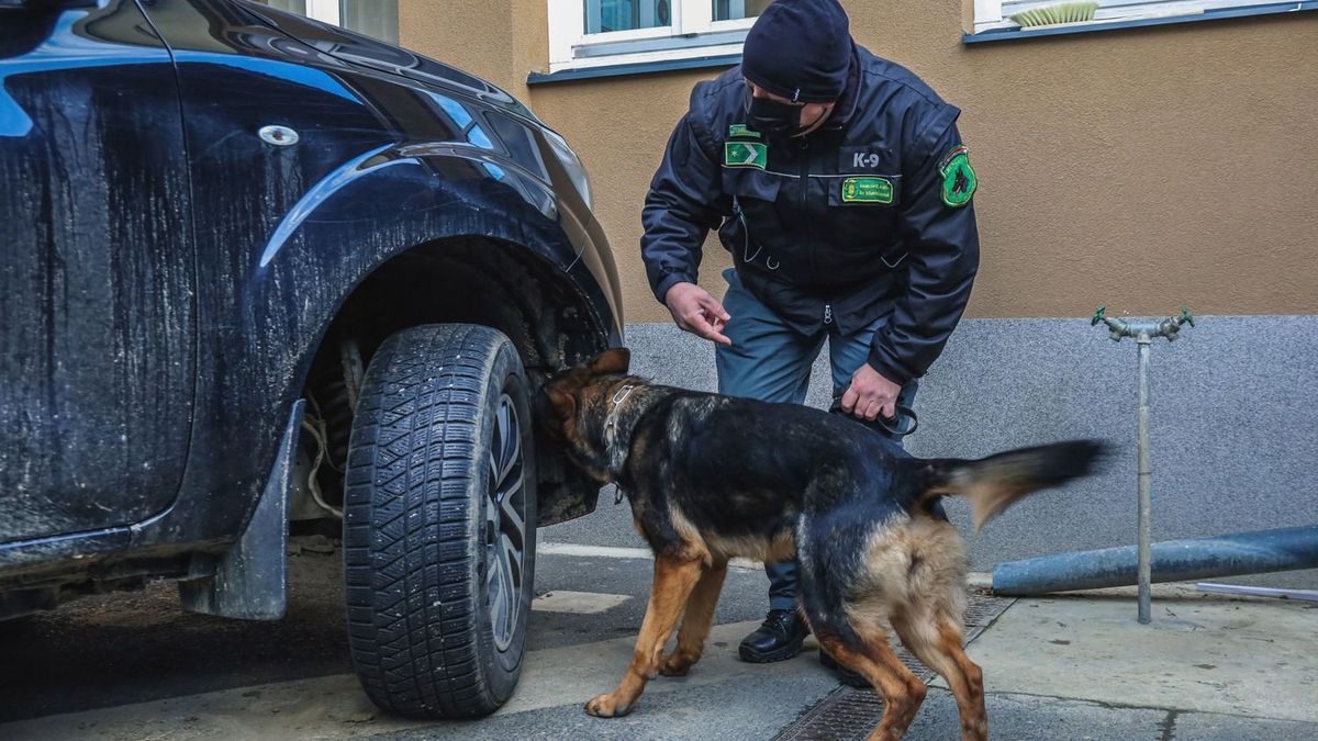 Adócsalás miatt több helyszínen is házkutatást tartott a NAV a 24.hu tulajdonosánál