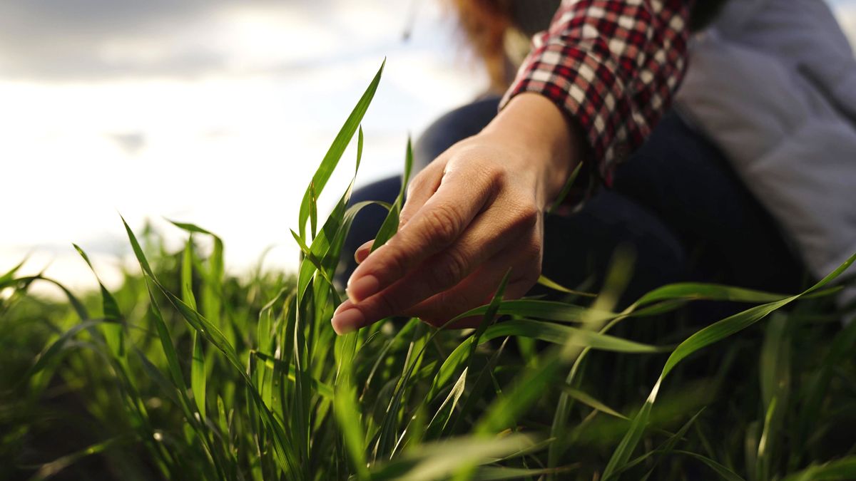 Jó hír a gazdáknak: a jövő év közepéig igényelhető az Agrár Széchenyi Kártya Max+
