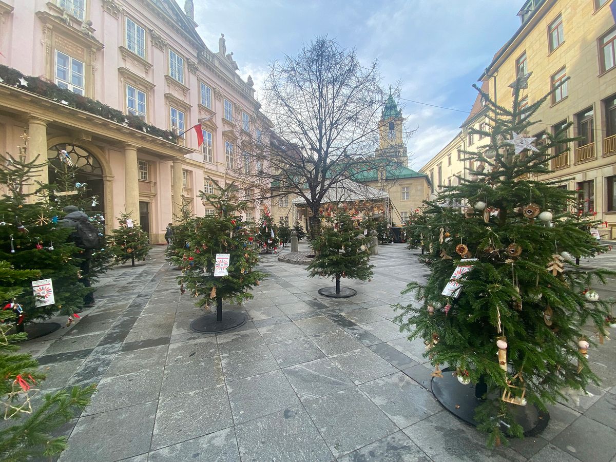 Sándor Tünde / Világgazdaság
2023.
karácsonyi, ünnep, advent, vásár, bratislava, pozsony, nagyszombat, karácsonyfa, díszítés, vacsora, cüslök, templom, skoda, puncs, utca, életkép, zaha hadid, épületek, építkezés, 