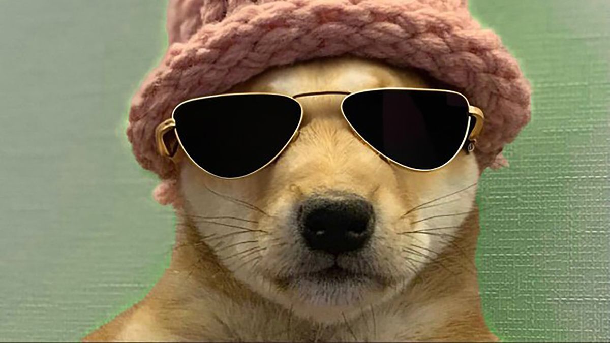 Hajszálnyira idei árfolyamcsúcsától a bitcoin, mégis egy sapkás-napszemüveges kutyára figyel a kriptopiac