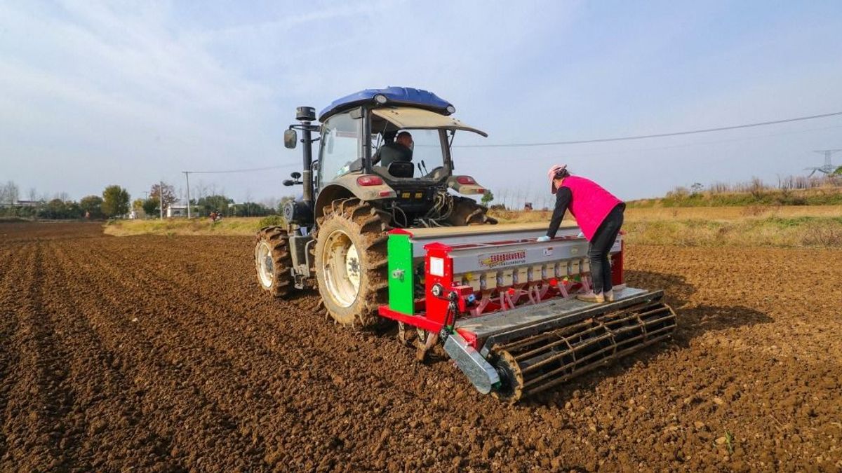 Az orosz-ukrán háború előtti időszak szintjén a magyar élelmiszer-gazdaság