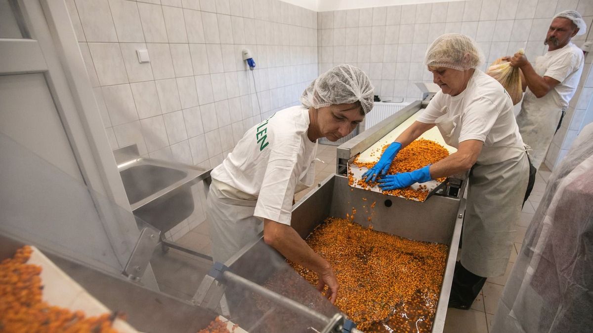 Csak stagnálásra futja a céges hiteleknél