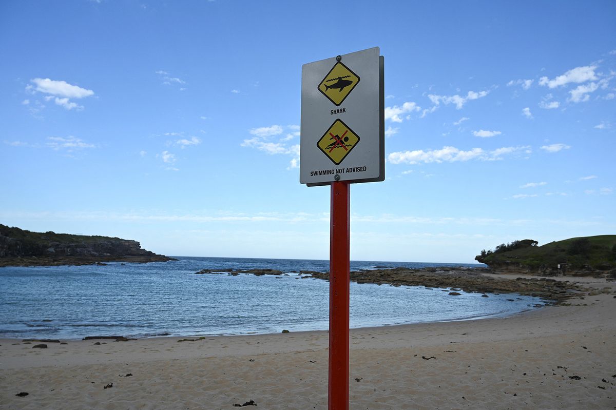 A public order notice is seen near the site of a fatal shark attack off Little Bay Beach in Sydney on February 17, 2022, as authorities deployed baited lines to try to catch a giant great white shark that devoured an ocean swimmer, the city's first such attack in decades. (Photo by Muhammad FAROOQ / AFP)