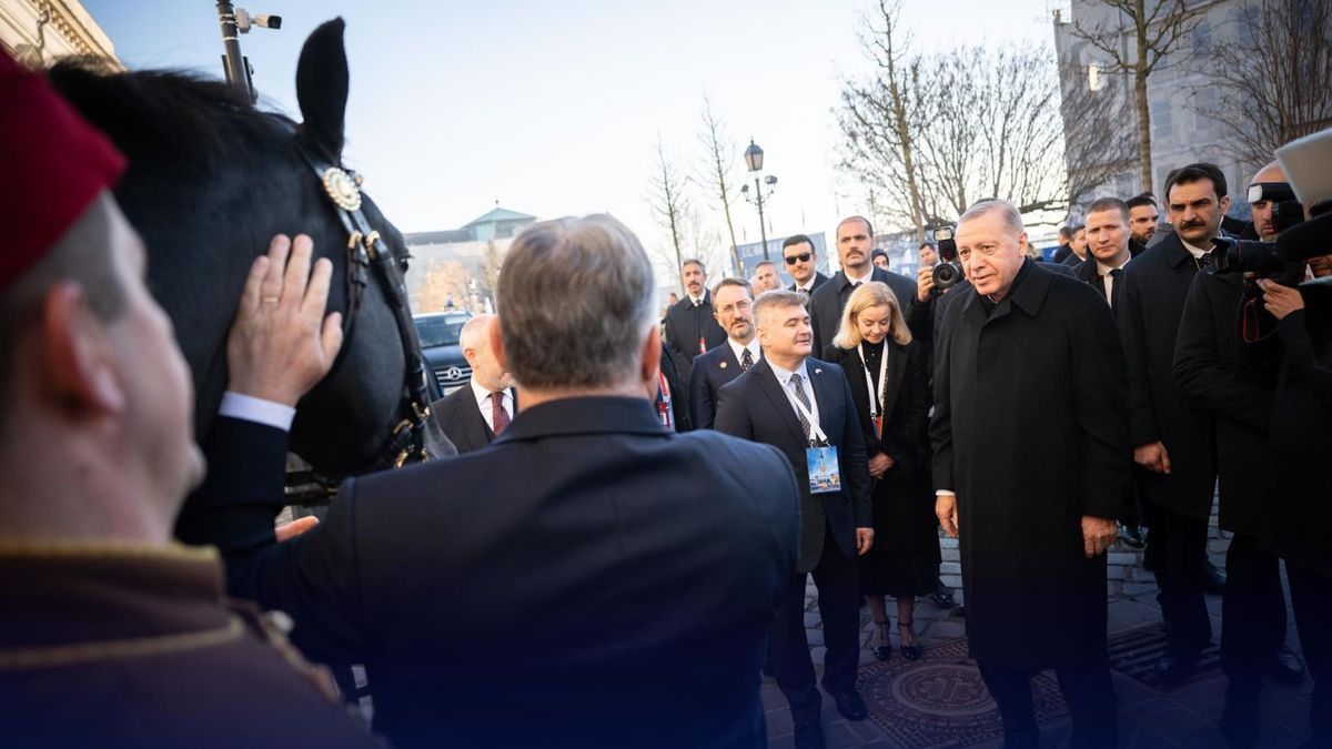 Erdogan elámul: nem akármilyen ajándékkal lepte meg Orbán Viktor a török államfőt