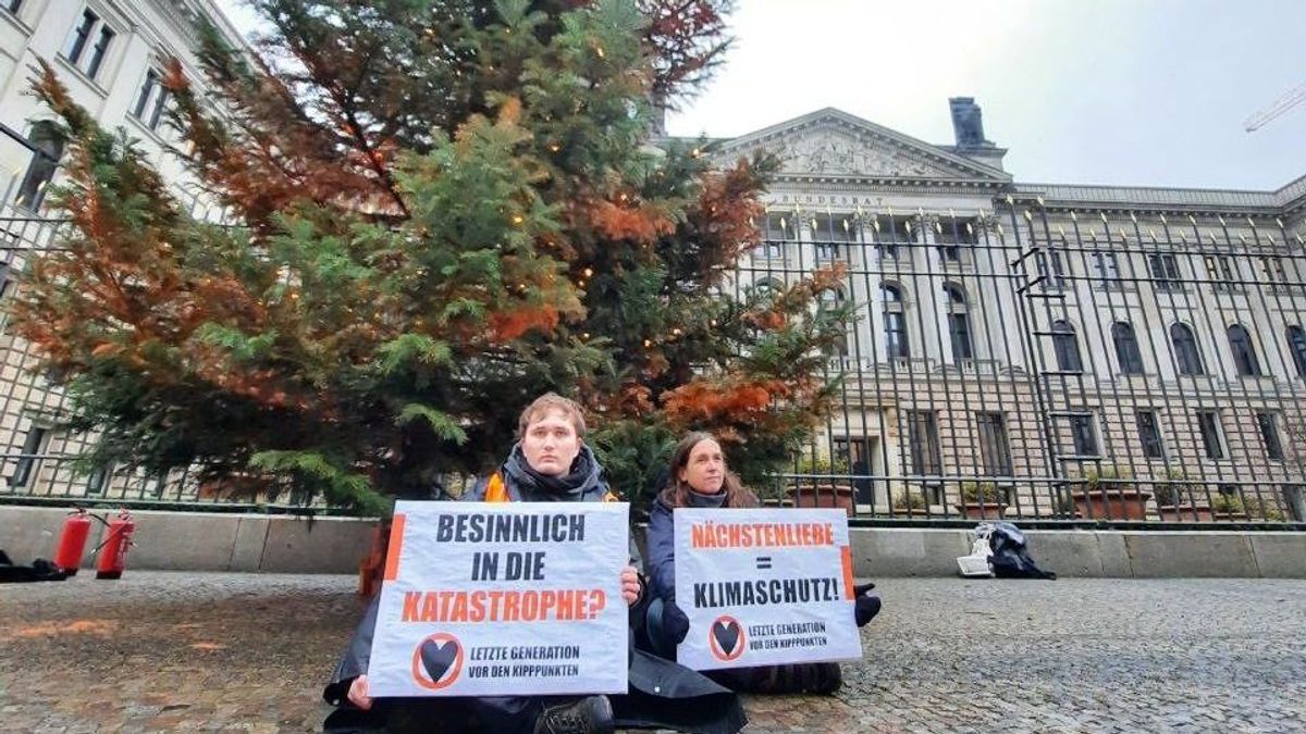 Karácsonyfákat rongálnak meg sorban a német városokban az ökoharcosok – videó