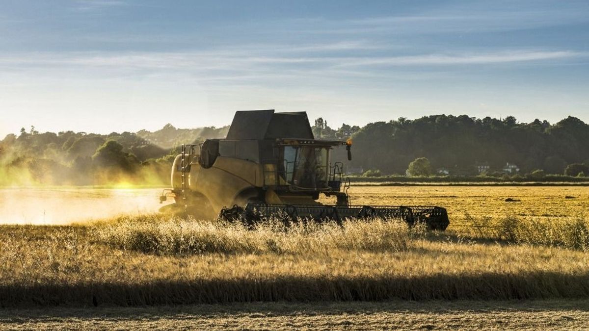 Jelentős kihívások előtt az agrárium, maradnak a magas élelmiszerárak