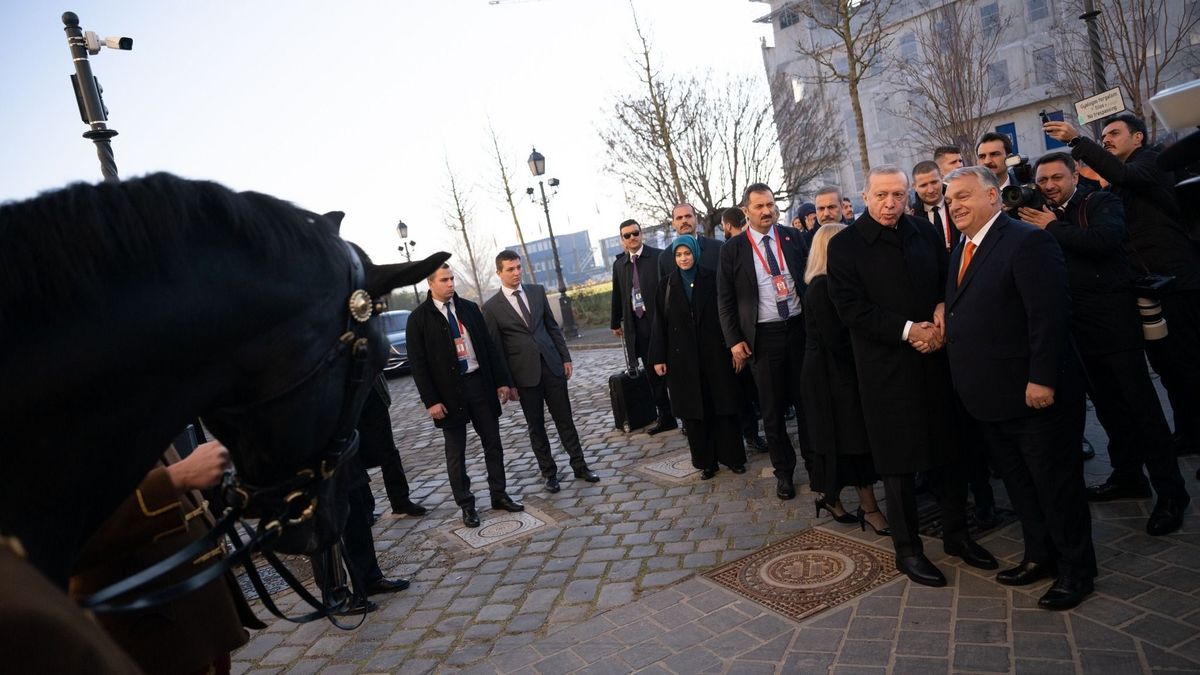 Fogós kérdést tett fel Erdogan Orbán Viktornak, mikor meglátta az ajándék lovat: "Hogy visszük el Isztambulba?"