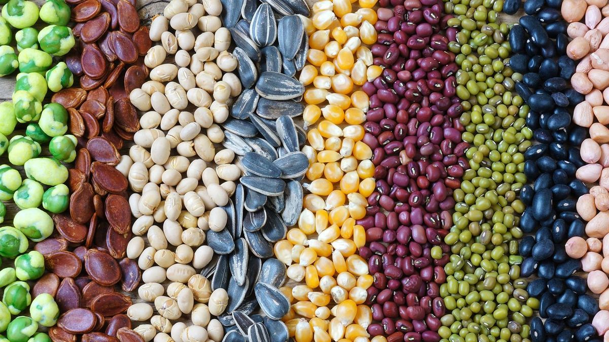 Vetőmag: az árak nőttek, a termesztőterület csökkent