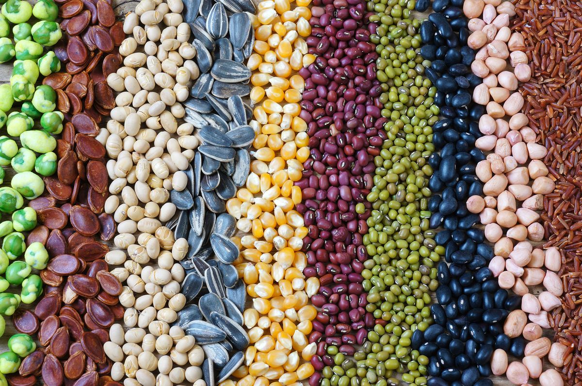 Collection,Of,Grain,,Cereal,,Seed,,Bean,,Agriculture,Product,Of,AsiaCollection of grain, cereal, seed, bean, agriculture product of Asia countries, is healthy food, nutrition and rich fibre 