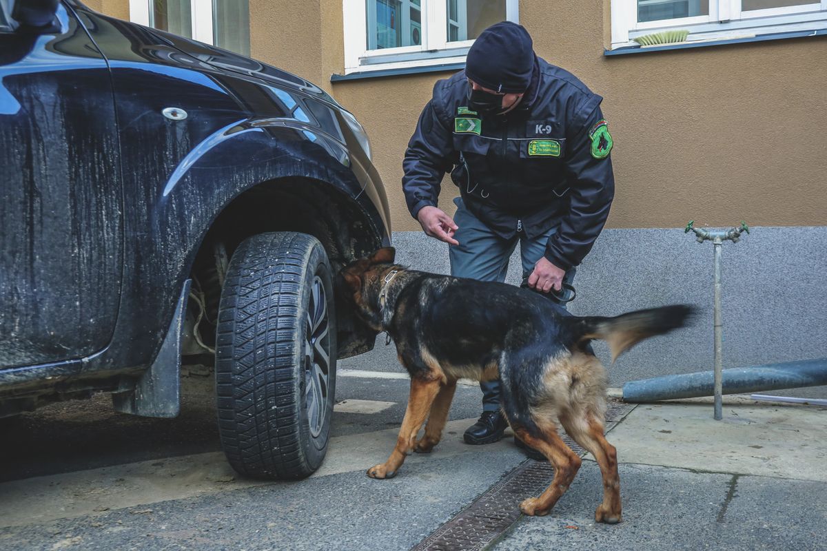 20201207_Pénügyőr kutya akcióban_NYH_DF_KM-3461
20201207 Nyíregyházafotó: Dodó Ferenc DF Kelet-MagyarországA szolgálati kutyák aktívan kiveszik a részüket a NAV sikereiből, dolgoznak határon, postán, közúton.