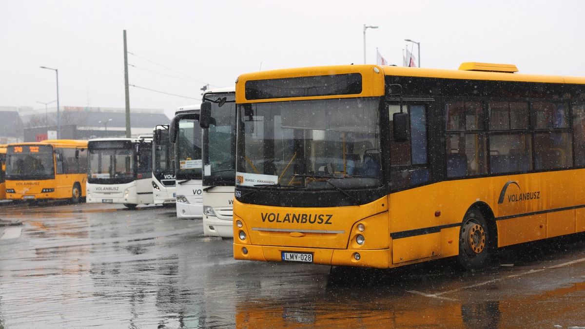 A buszvezetők több mint fele sztrájkolt – továbbra sincs megegyezés a bérekről