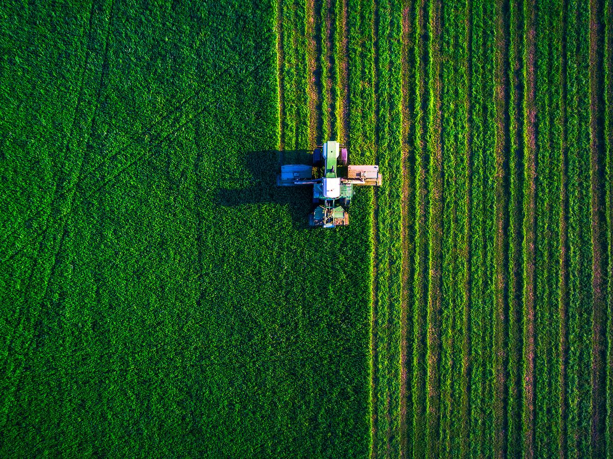 Tractor,Mowing,Green,Field,,Aerial,ViewTractor mowing green field, aerial view