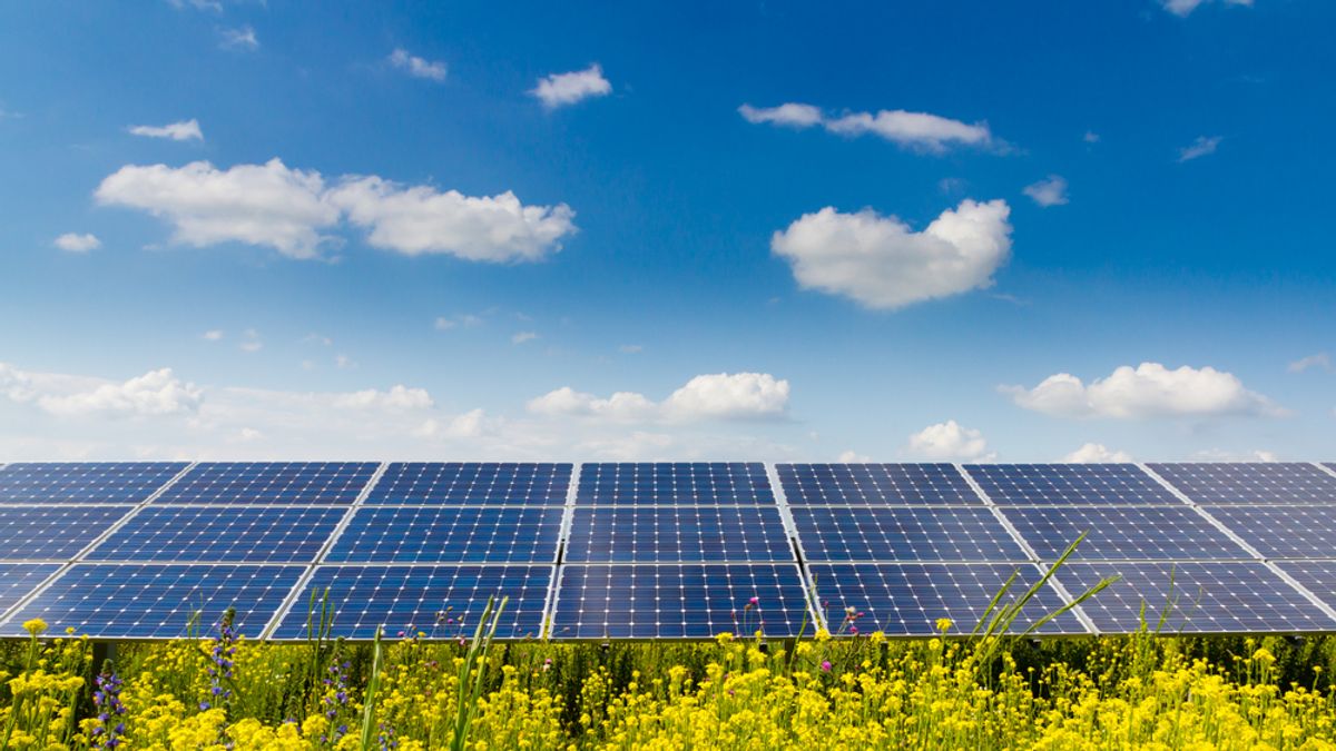 Naperőművet vesz magának karácsonyra az MVM