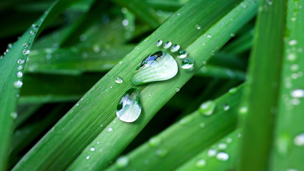 Lemarad, aki nem a zöld úton jár: fenntartható ipari fejlesztések Magyarországon