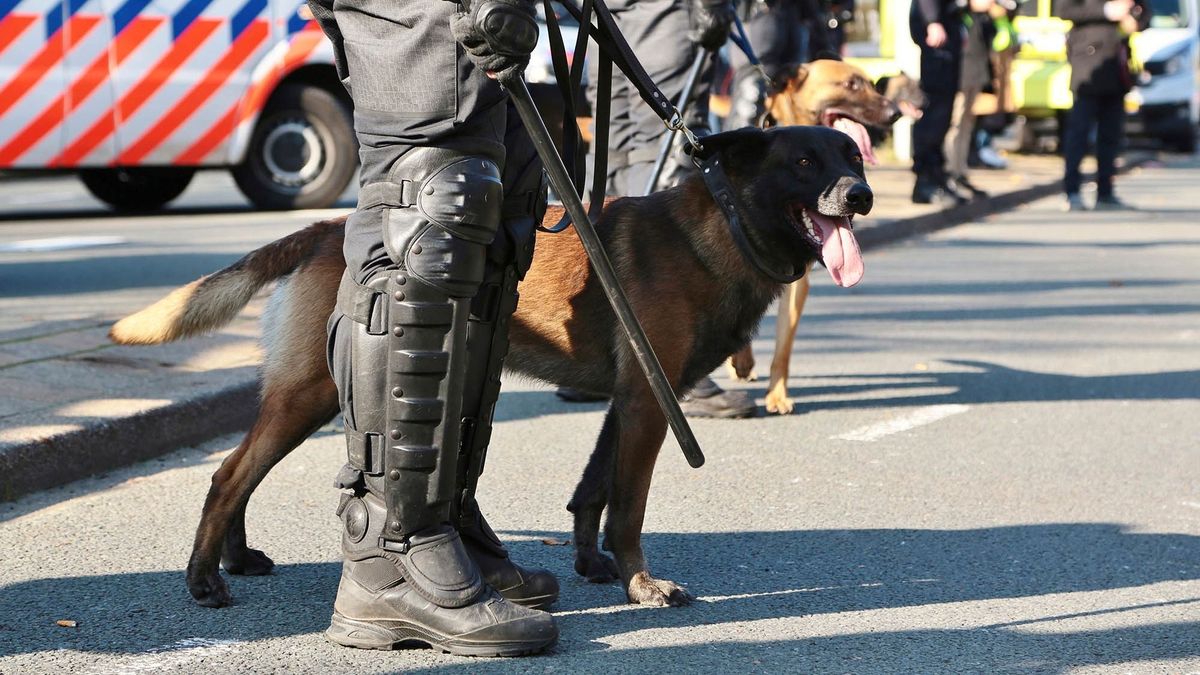 Hollandiában megemelték a terrorfenyegetettség szintjét