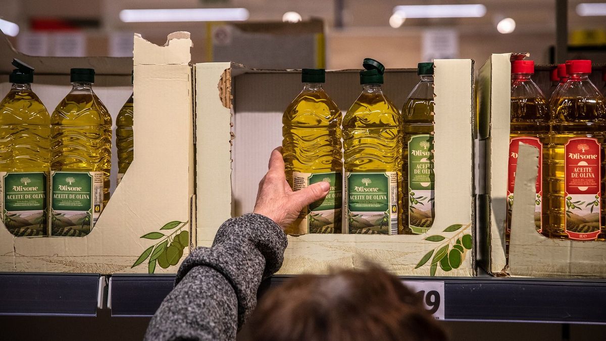 Olívaolaj piac: luxuscikk lett a spanyol olajbogyó