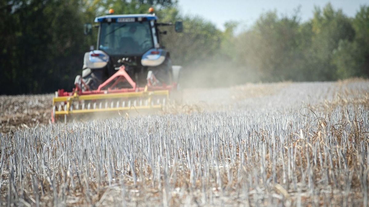 Az magyar gazdák számítanak az EU-s forrásokra – az alapanyagára és az energiaárak emelkedése a legnagyobb gond