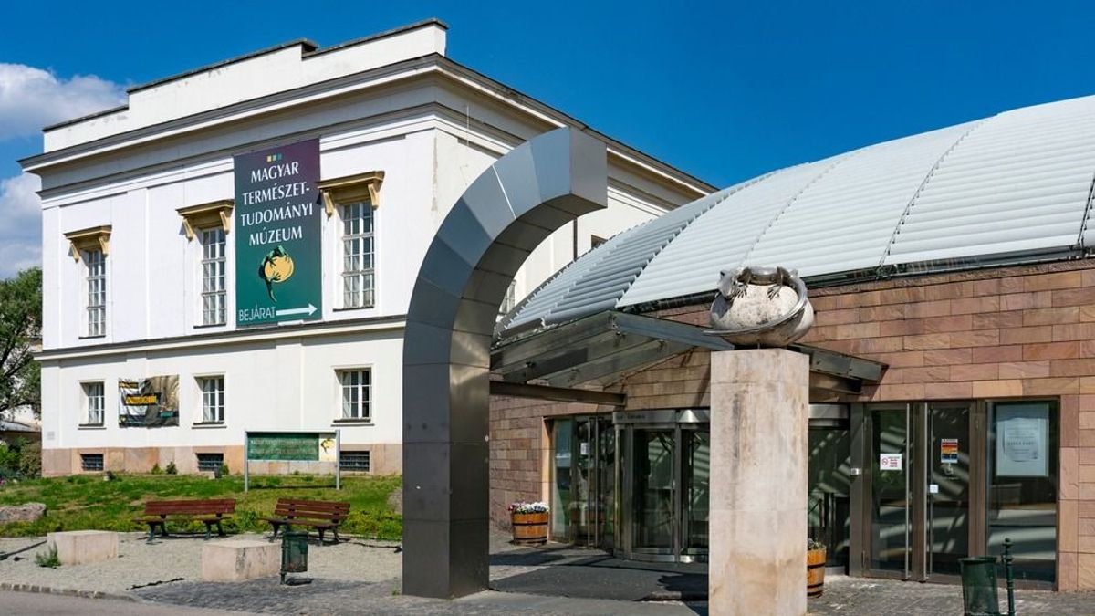 Tárt karokkal várja a Természettudományi Múzeumot az ország második fővárosa – mérföldkőhöz érkezett a költözés