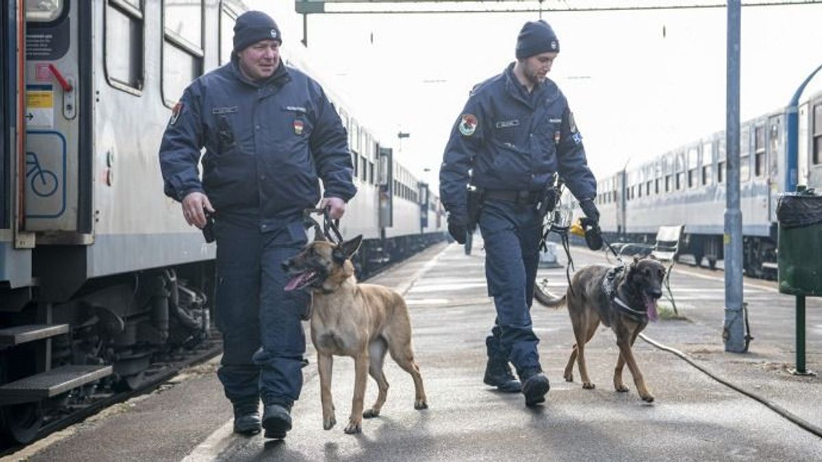Hatalmas razzia volt a hazai és nemzetközi személyszállító vonatokon, az itthoni pályaudvarokon