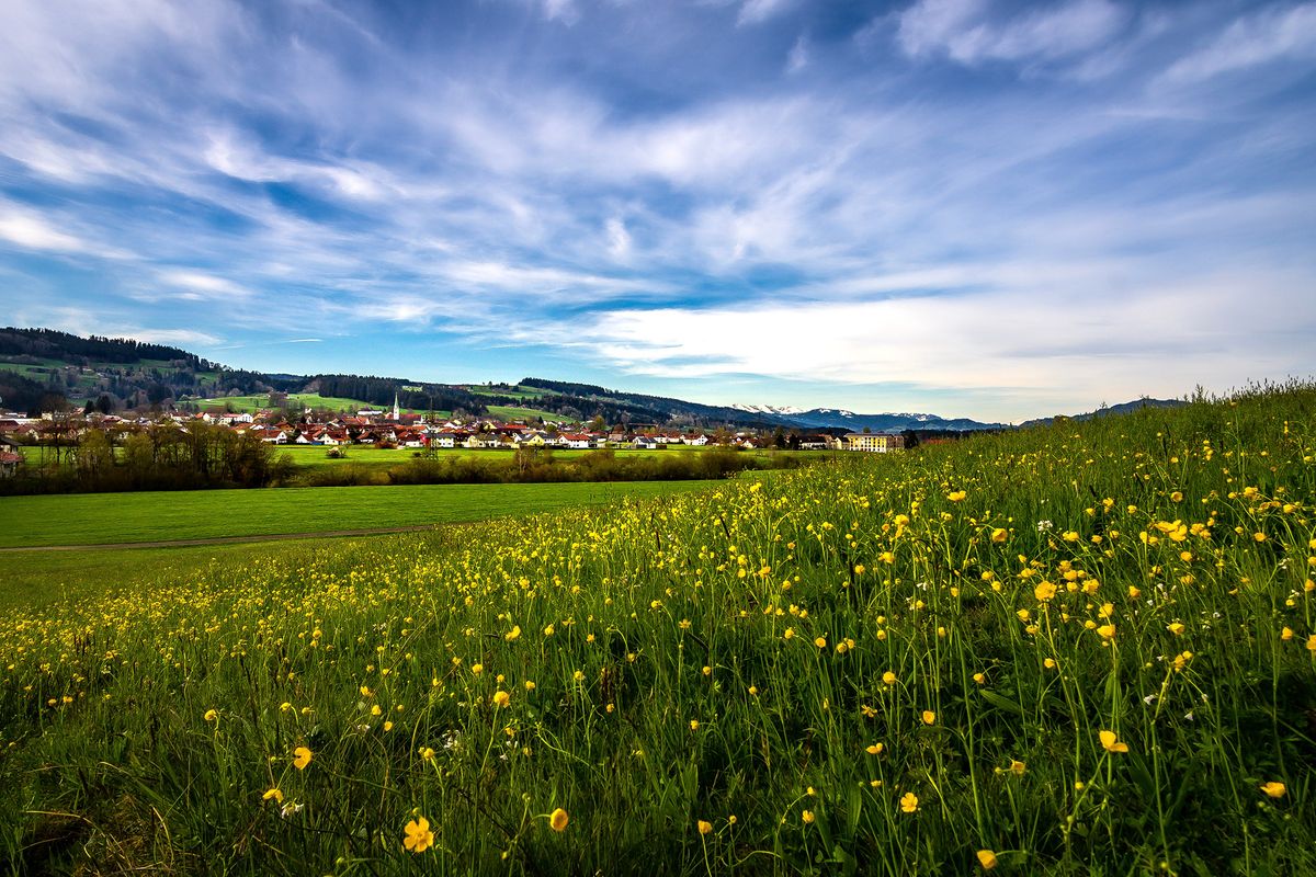 Grass,Green,Summer,Weiler-simmerberg,Allgäu