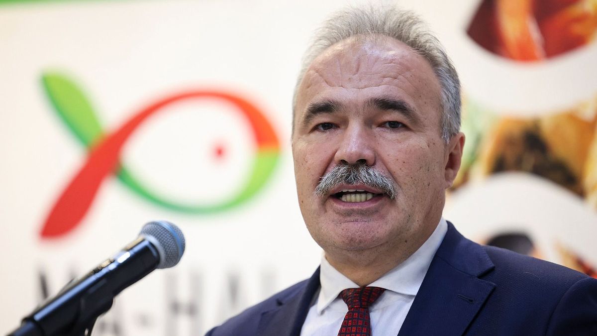 Nagy István: Brüsszel ismét magára hagyta a kelet-európai gazdákat