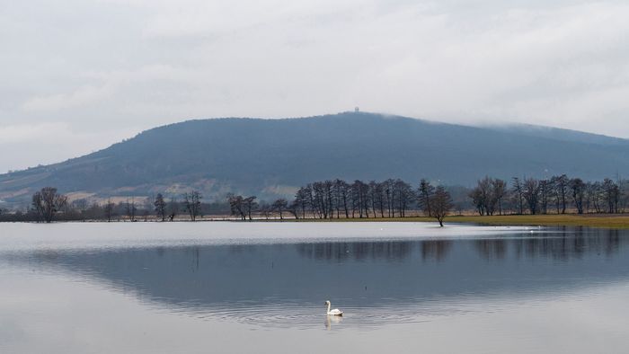 Sátoraljaújhely, 2024. január 6.
Belvízzel elöntött terület Sátoraljaújhely határában 2024. január 6-án.
MTI/Balázs Attila